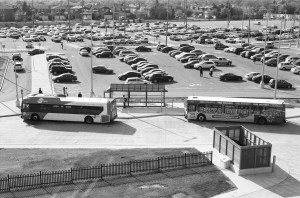 Mississauga Transit Buses waiting for passengers at a GO Commuter Station