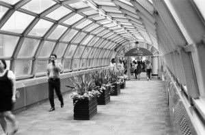 The Queen St. pedestrian overpass linking Hudson's Bay and the Eaton Centre