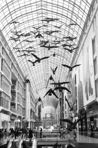 The Canada Geese displayed in the Toronto Eaton Centre
