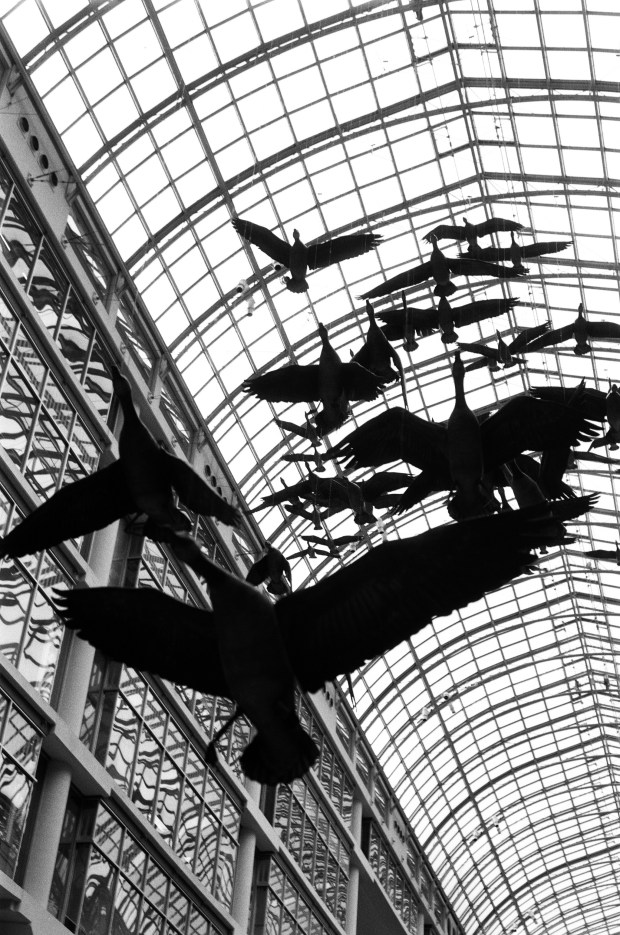 If you want a silhouette...matrix metering works. Not quite what I wanted though.