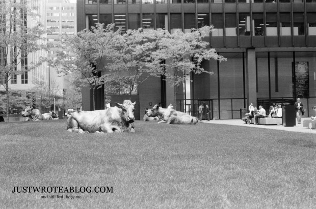 Bulls in the TD Centre Courtyard.