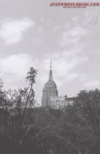 Should've brought out the sky more.  