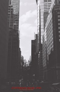 Um...I don't know anymore...