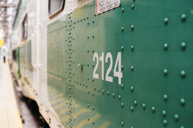 Playing with depth of field with the M50/1.7.