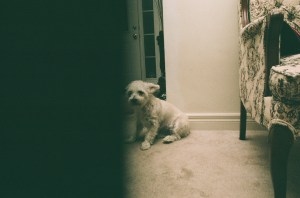 My second attempt with a flash