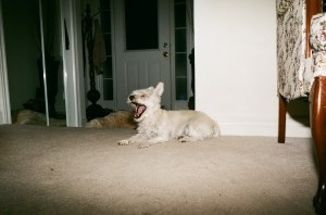 Not quite right yet...but at least the full frame got lit up this time.