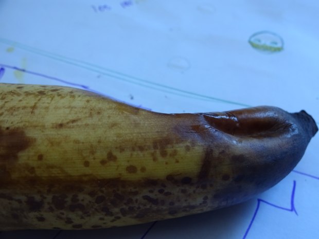 I hate it when my banana gets smushed in my bag