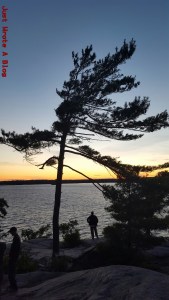 wpid-wp-1438922712555 (1)