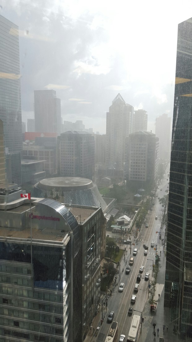 wp-1439384376185 image