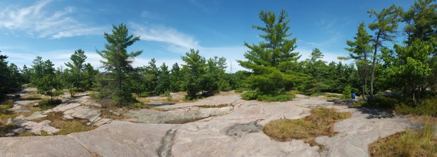 wp-1439384804233 image