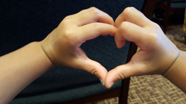 wp-1439384975288 image