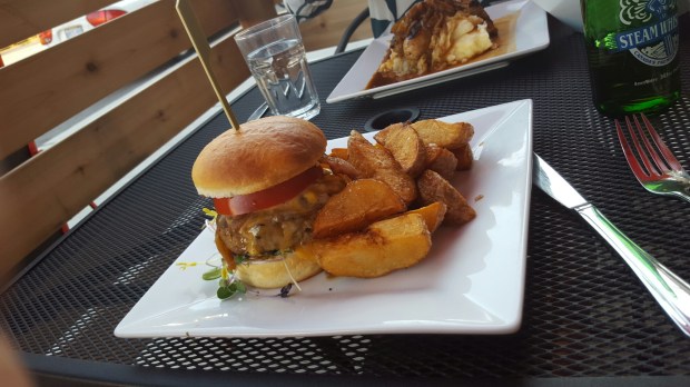 wp-1439388022511 image