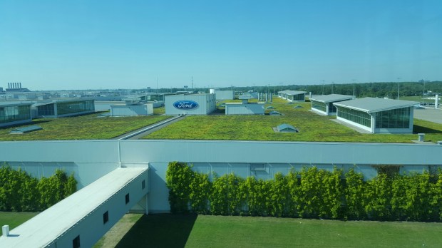 wp-1443195330738 image