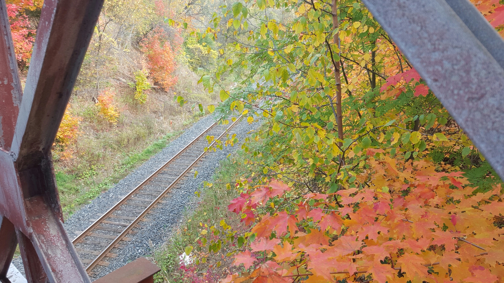 Walking over the bridge at E.T. Seton Park, Toronto, Canada.