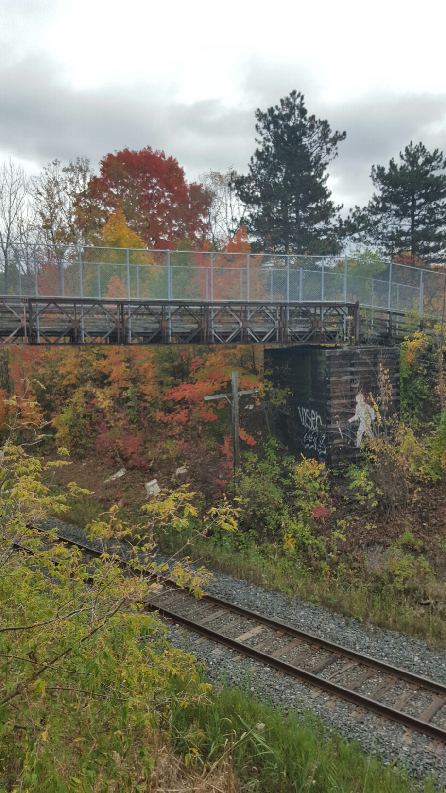 A little out of focus... I was scared of dropping my phone.