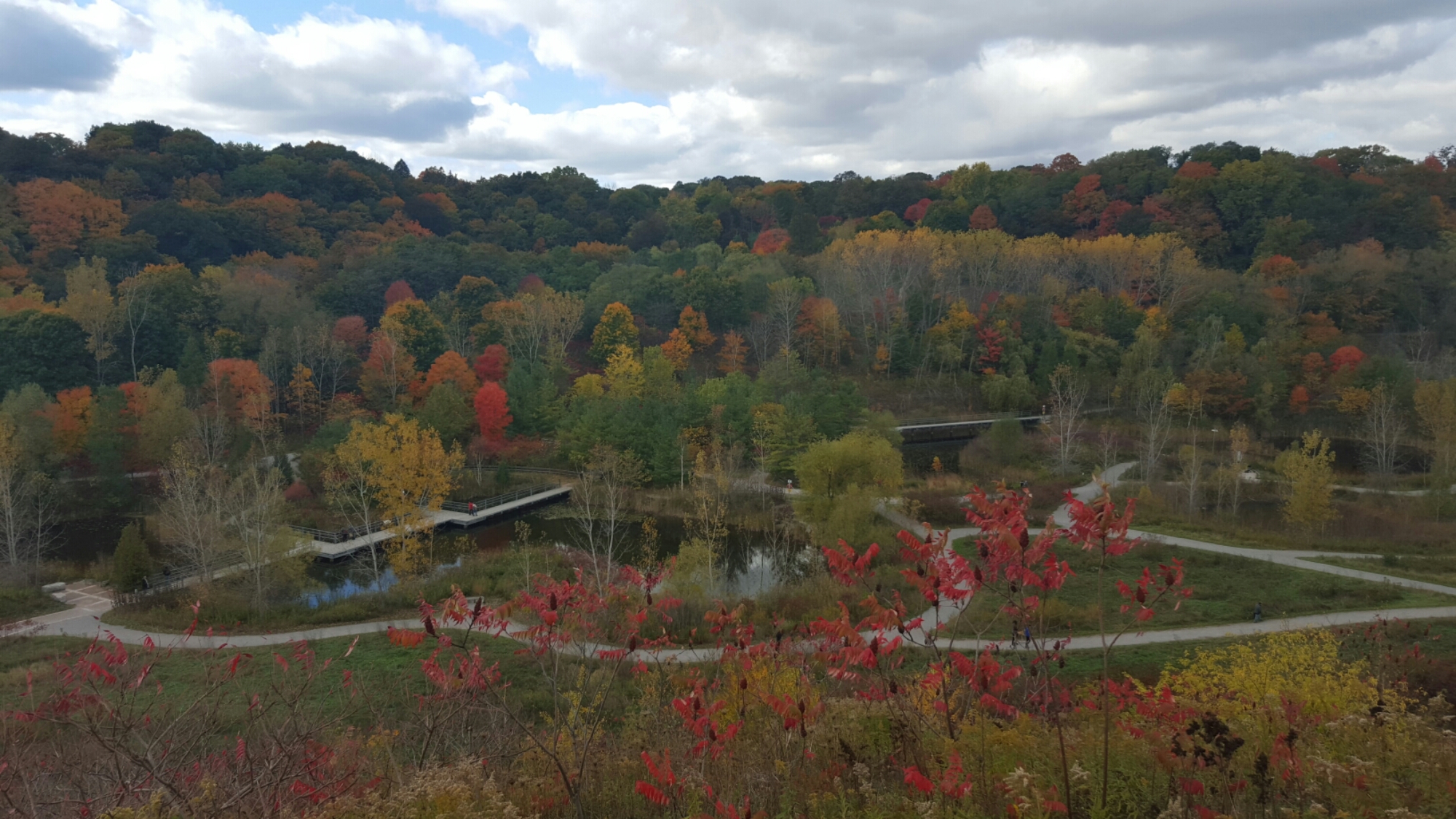 The pond at the Don Valley Brickworks, Toronto, Canada.