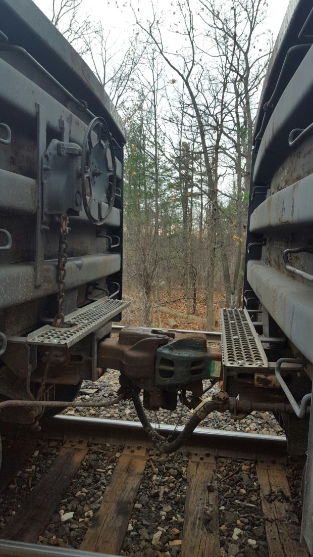 wp-1448891942487 image