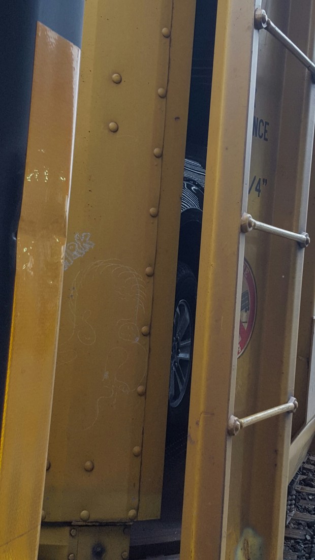 wp-1448892127058 image