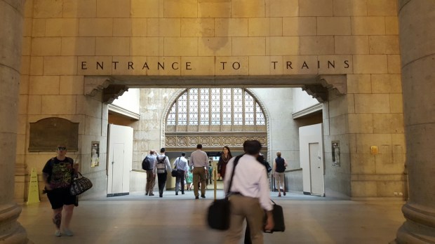 "Calm Before The Afternoon Chaos..."