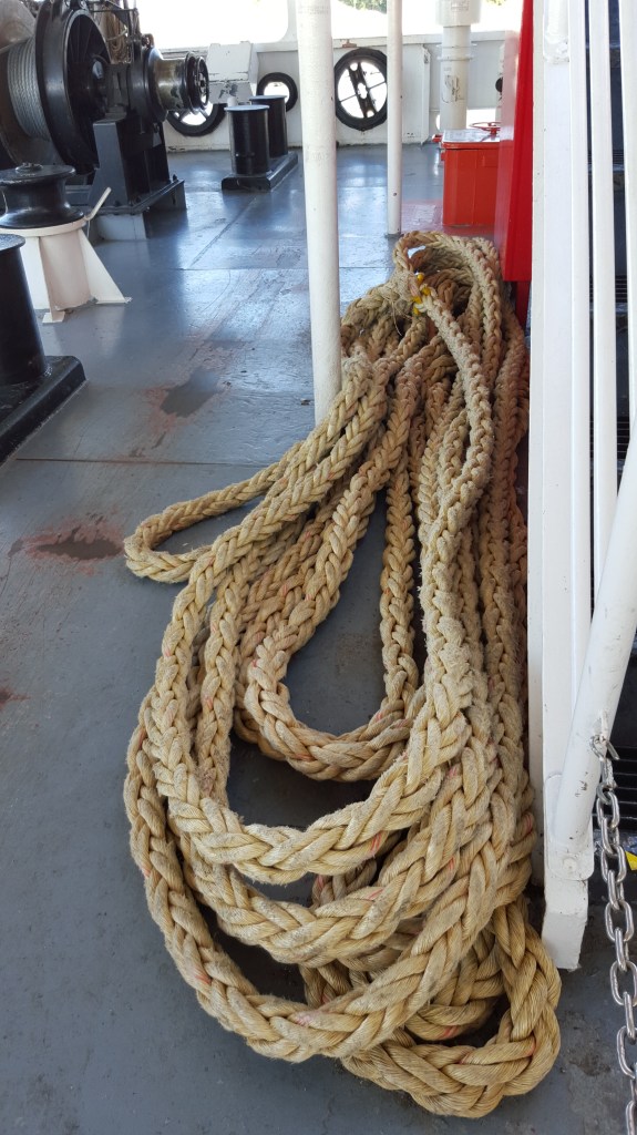 Random photo of rope found on the one of the ship's decks.